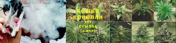 круглые Бородино