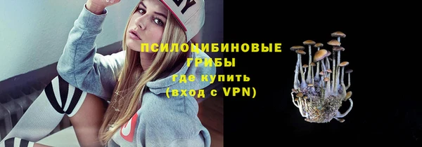 круглые Бородино