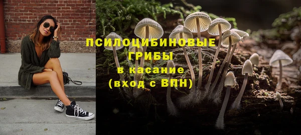 хмурый Бронницы