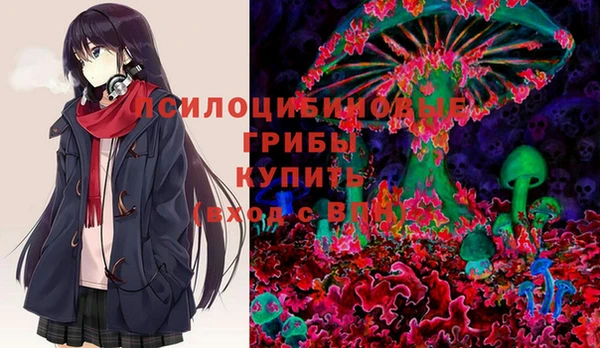 круглые Бородино