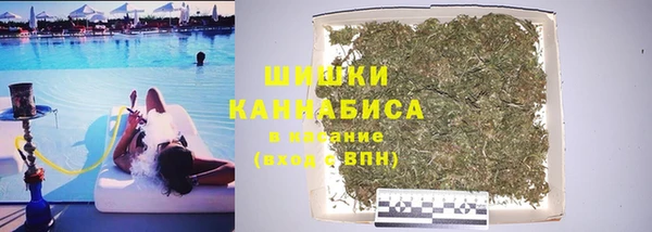 хмурый Бронницы