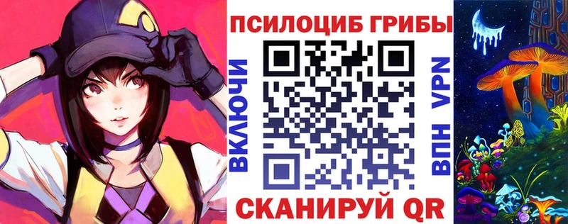 Псилоцибиновые грибы Cubensis  Сыктывкар 
